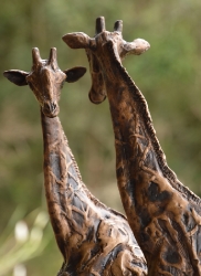 Giraffe Love