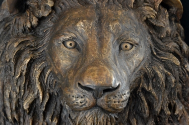 Lion Head