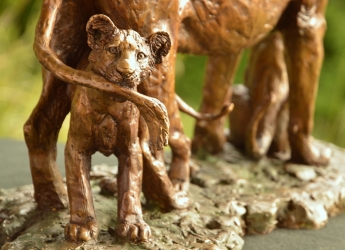 Maternal Instinct - Lioness and cubs