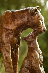 Maternal Instinct - Lioness and cubs