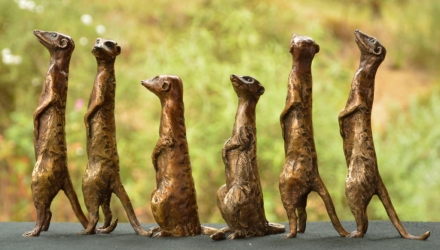 Meerkat small x6 - sold separatel