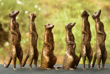 Meerkat small x6 - sold separatel