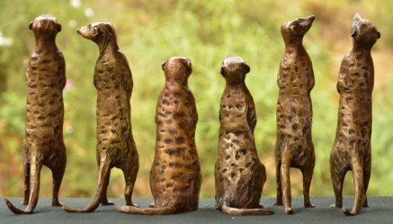 Meerkat small x6 - sold separatel