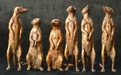 Meerkat small x6 - sold separatel