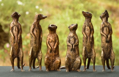 Meerkat small x6 - sold separatel