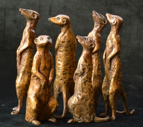 Meerkat small x6 - sold separatel