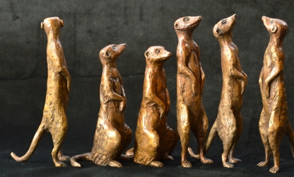Meerkat small x6 - sold separatel