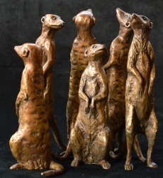 Meerkat small x6 - sold separatel