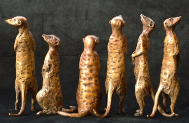 Meerkat small x6 - sold separatel
