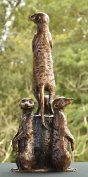 Meerkats - special edition