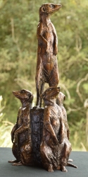 Meerkats - Special edition SOLD