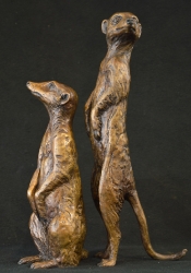 Neighbourhood Couple - meerkats