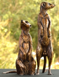 Neighbourhood Couple - meerkats