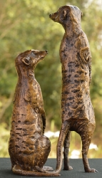 Neighbourhood Couple - meerkats