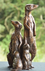 Neighbourhood Family - Meerkats