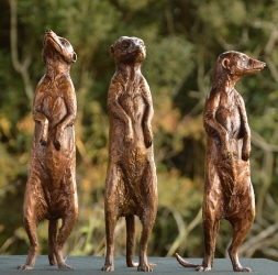 Neighbourhood Sentries - Meerkats SOLD OUT