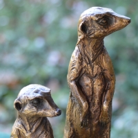 Neighbourhood Watch - Meerkats