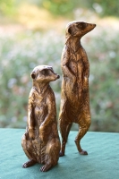 Neighbourhood Watch - Meerkats