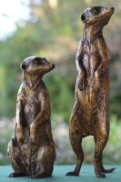 Neighbourhood Watch - Meerkats