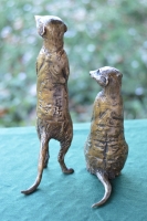 Neighbourhood Watch - Meerkats