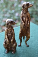 Neighbourhood Watch - Meerkats