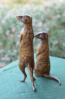 Neighbourhood Watch - Meerkats