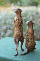 Neighbourhood Watch - Meerkats