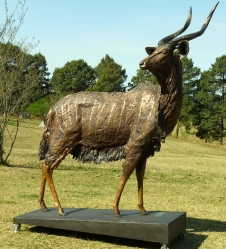 Nyala Bull - Life-size