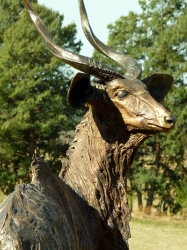 Nyala Bull - Life-size