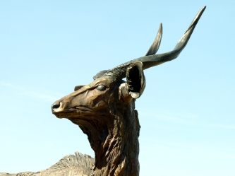 Nyala Bull - Life-size