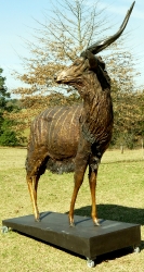 Nyala Bull - Life-size