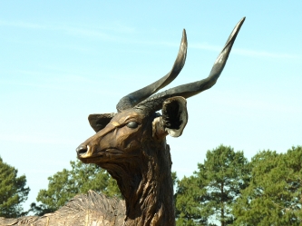 Nyala Bull - Life-size