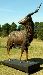 Nyala Bull - Life-size