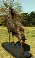 Nyala Bull - Lifesize