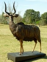 Nyala Bull - Lifesize