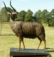 Nyala Bull - Lifesize