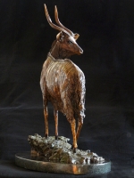 Nyala Bull - maquette