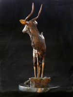 Nyala Bull - maquette