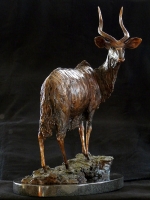 Nyala Bull - maquette