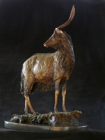 Nyala Bull - maquette