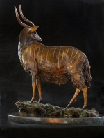 Nyala Bull - maquette