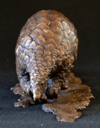 Pangolin - Maquette