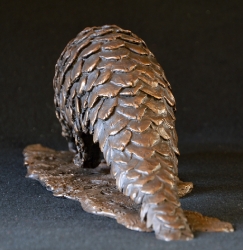 Pangolin - Maquette