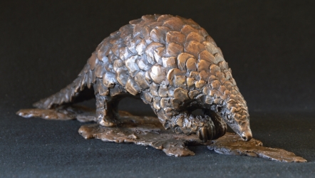 Pangolin - Maquette