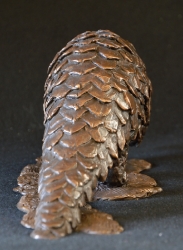 Pangolin - Maquette