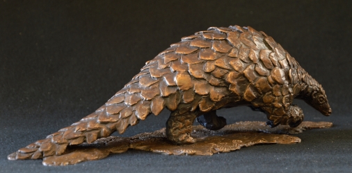 Pangolin - Maquette
