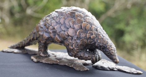 Pangolin - Maquette