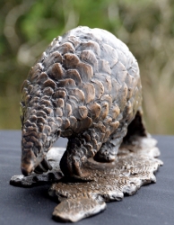Pangolin - Maquette