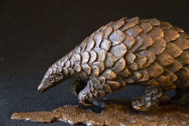 Pangolin - Maquette