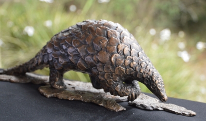 Pangolin - Maquette